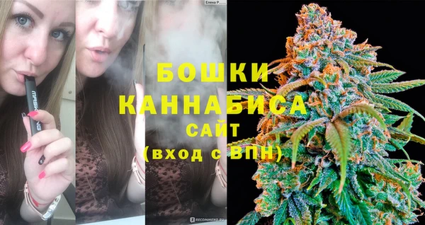 шишки Волосово