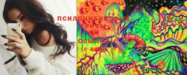 СК Богородицк