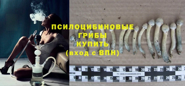 шишки Волосово