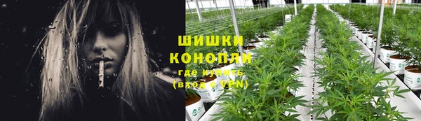 шишки Волосово